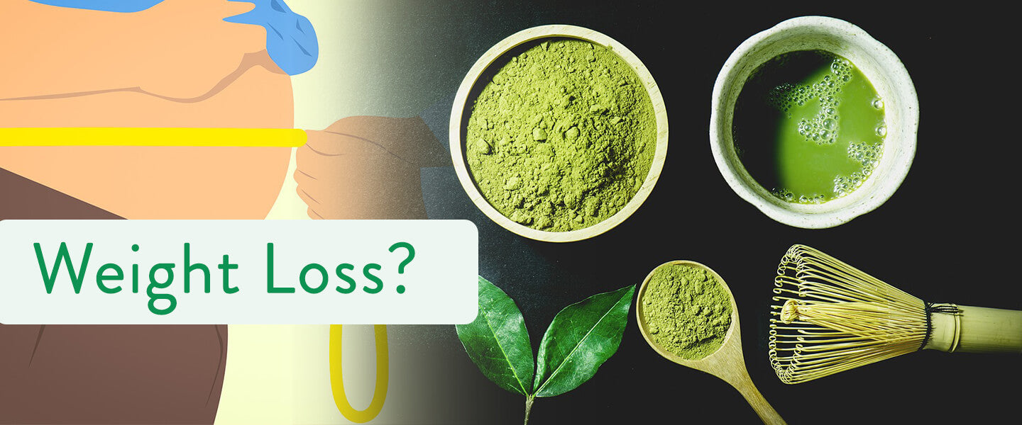 Why is Matcha Green Tea Good for Weight Loss?