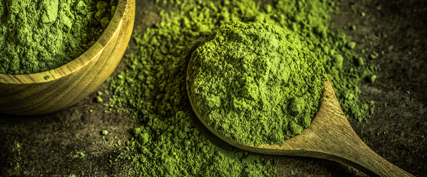 The Matcha High: Why Matcha Makes You Feel Great