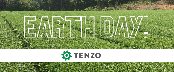 Tenzo Matcha Earth Day Cloud Drink