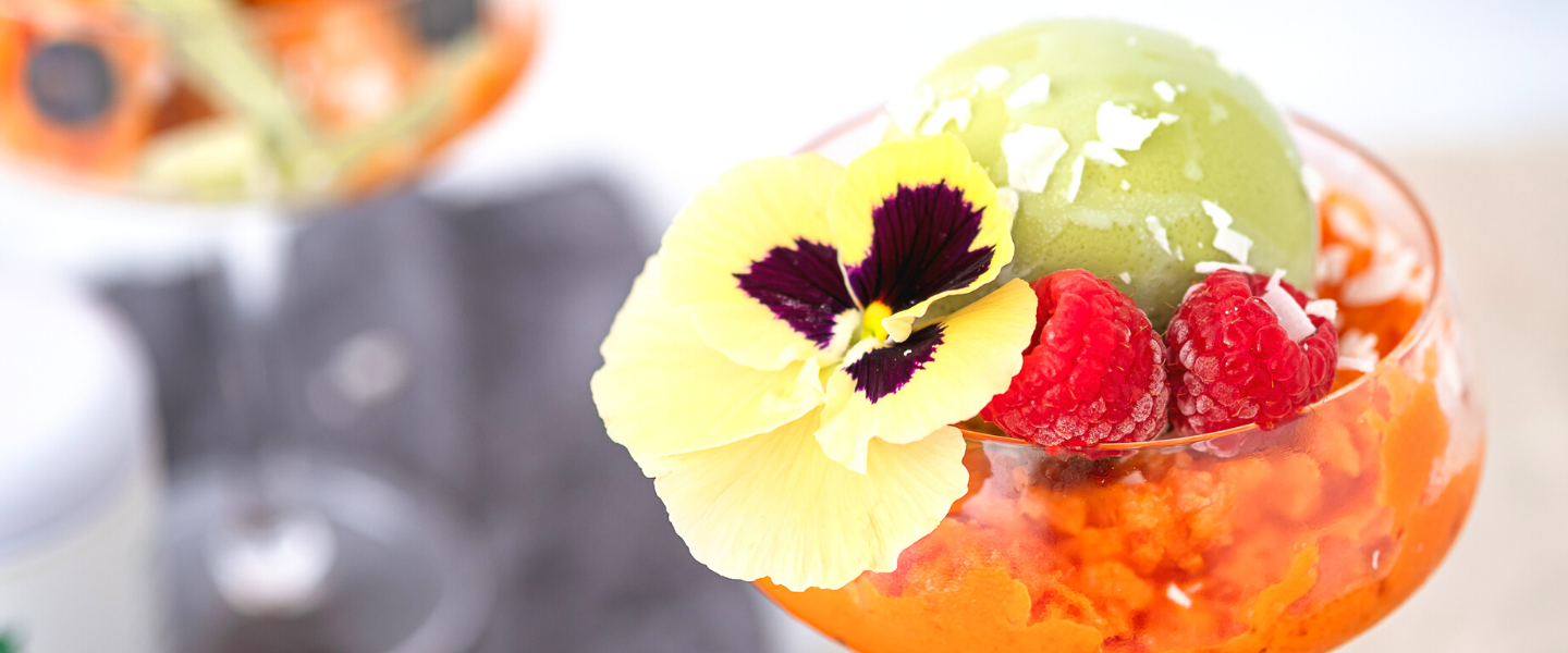 Matcha, Coconut Jello and Frozen Papaya Smoothie