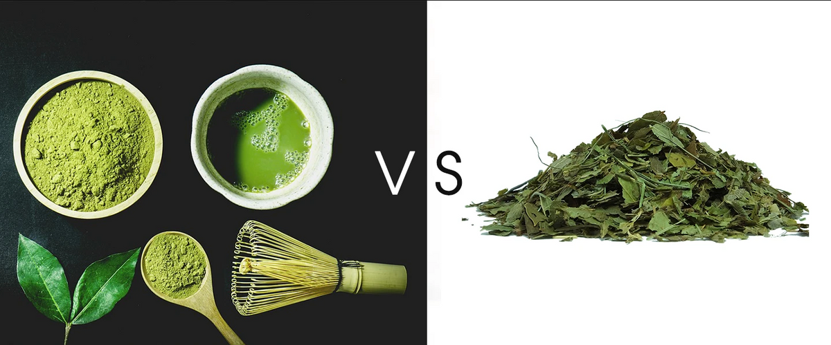 green tea benefits and matcha benefits