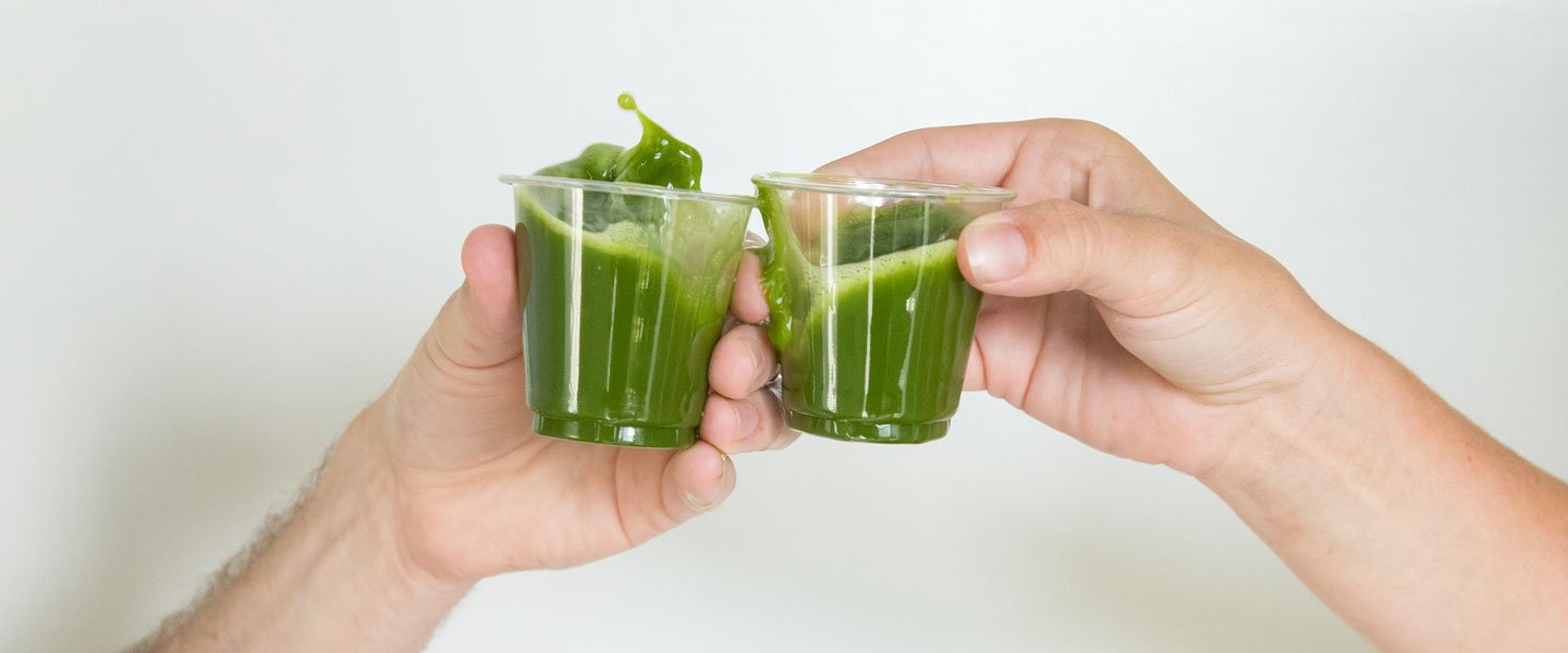 How Do You Make a Tenzo Matcha Green Tea Shot?