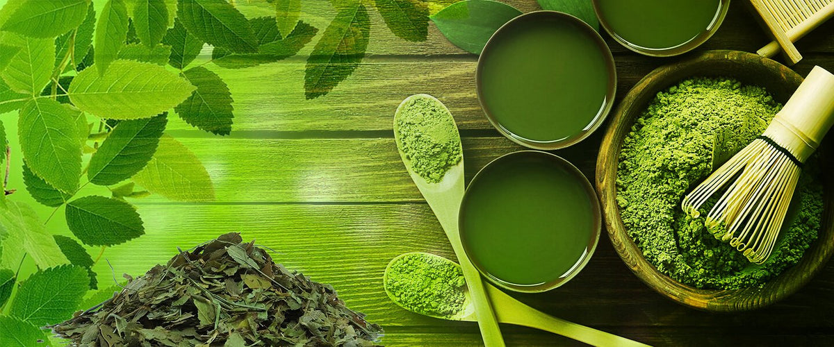 macha, maccha, and matcha