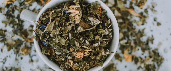 Top 5 Benefits of Jasmine Tea | Tenzo Tea