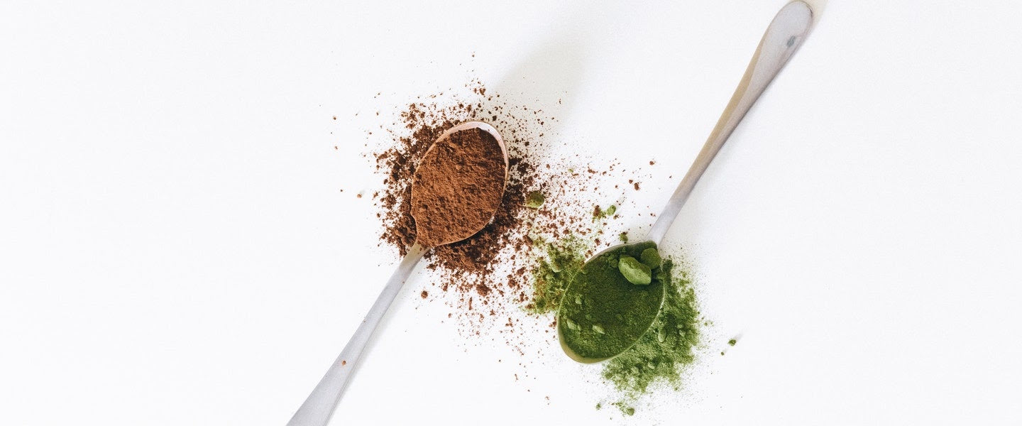 Sencha vs. Matcha:  The Differences Explained