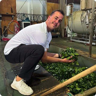 Traditional matcha whisking