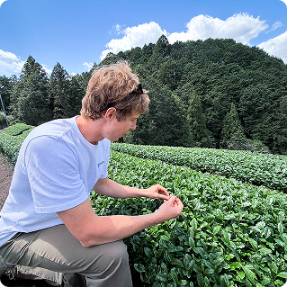 Craftsman preparing matcha